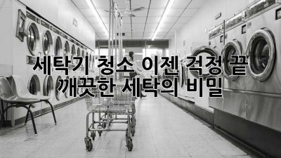 세탁기 청소, 이젠 걱정 끝! 깨끗한 세탁의 비밀